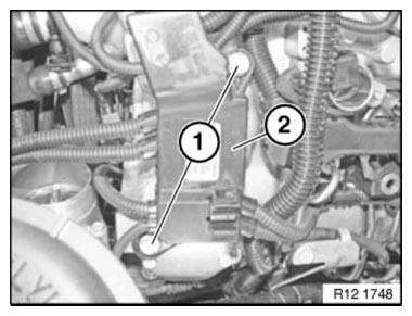 Engine Wiring Loom